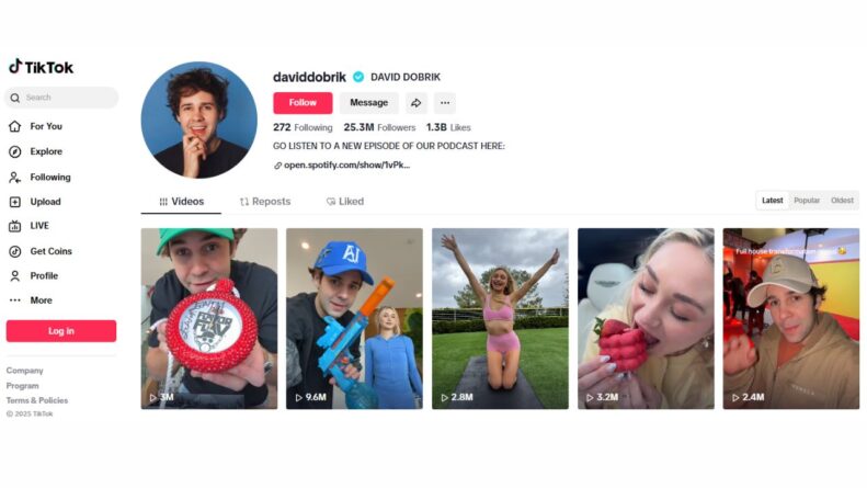 David Dobrik TikTok