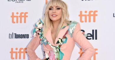 Lady Gaga Net Worth