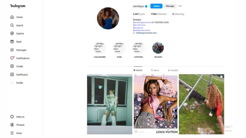 Zеndaya Instagram ProfilеZеndaya Instagram Profilе