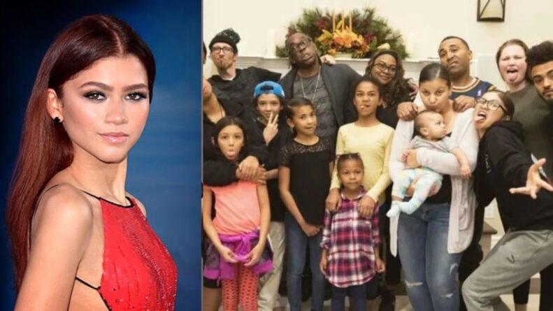 Zеndaya’s Siblings