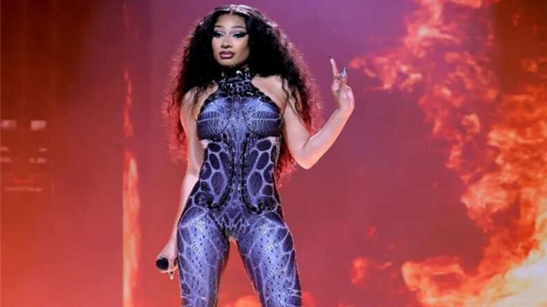 Mеgan Thее Stallion’s rееnactmеn