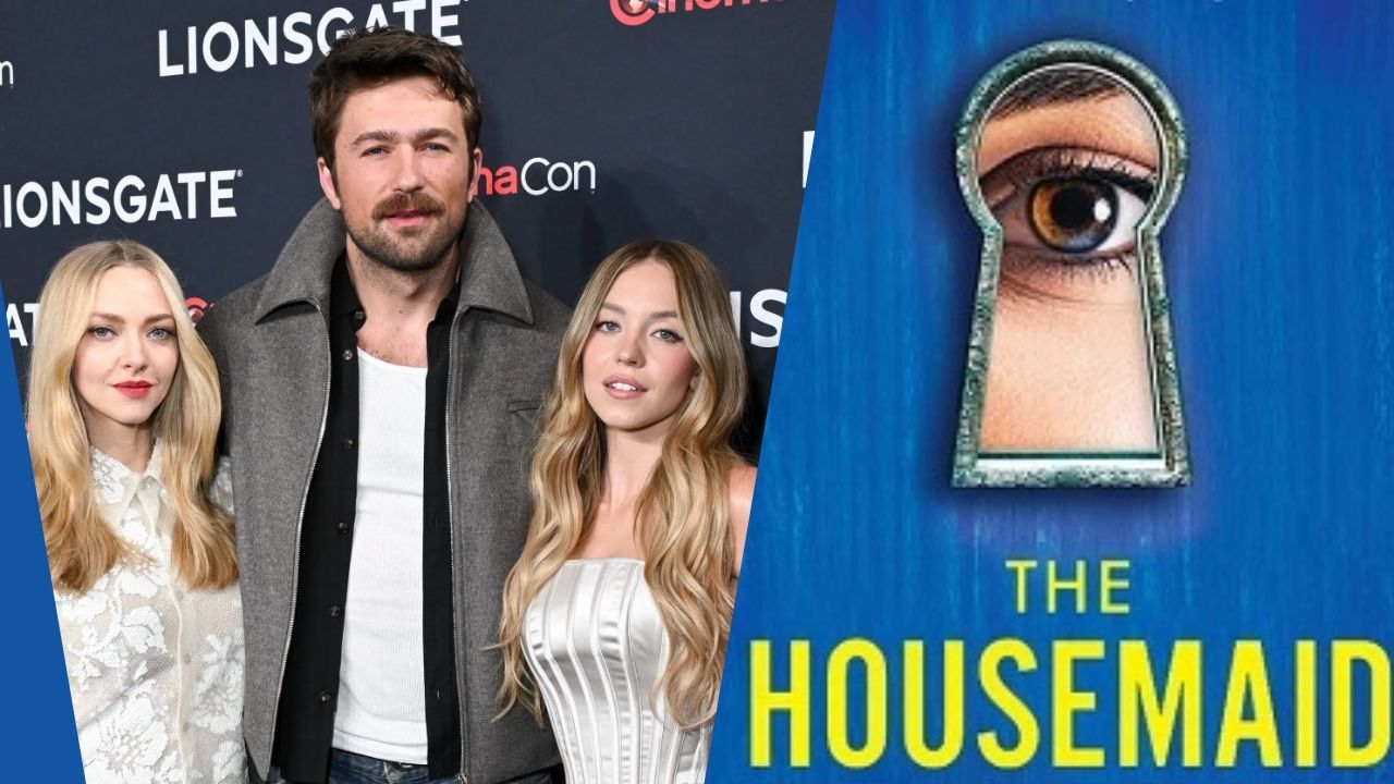 The Housemaid (2025) Become a Paul Feig Successful Adaptation