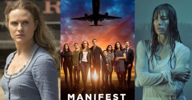 Westworld, Manifest & The Sinner Explained