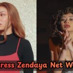 Zendaya Net Worth