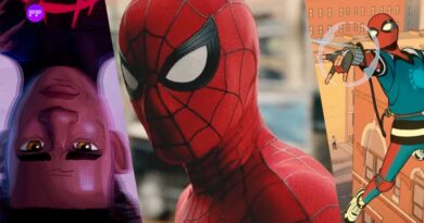 Will There Be Another Spiderman Movie